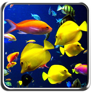 Galaxy S4 Aquarium Theme v1.0