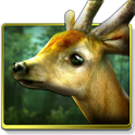 Forest HD v1.6