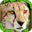 Cheetah Simulator v1.1