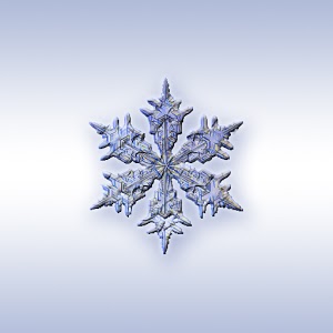 ColdSnap! Frost Alarm v3.4