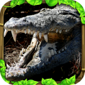 Wildlife Simulator: Crocodile v1.0