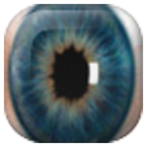 Widget Eye Hidden Camera v1.0