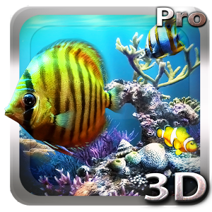 Tropical Ocean 3D LWP v1.0
