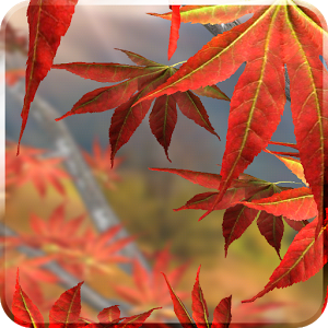 Autumn Tree Live Wallpaper v1.4