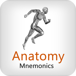 Anatomy Mnemonics v1.0