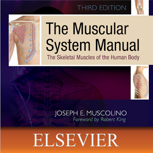 Muscular System Manual v4.3.104