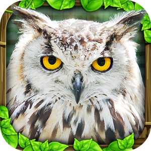 Owl Simulator v1