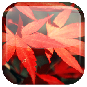 Autumn Live Wallpaper v1.0.4