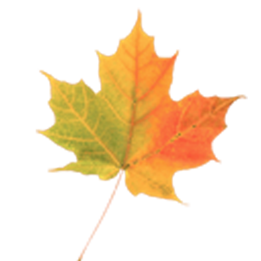 Autumn Leaves Donate LWP v1.2